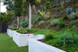 landscape design