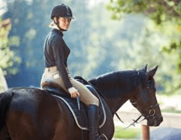 Mastering the Art of Reining: A Comprehensive Guide to Success in the Saddle