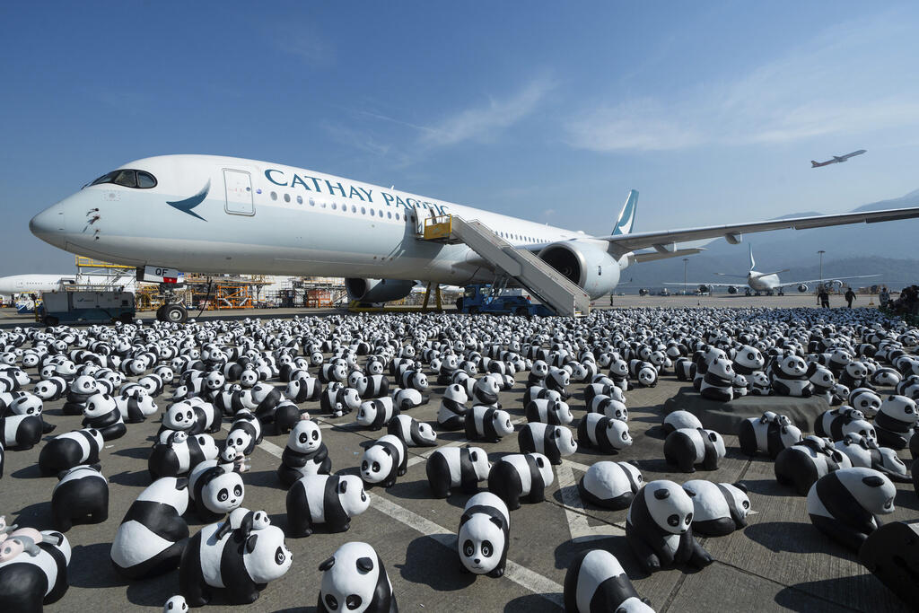 Smooth Landings: CTU Welcomes You to Panda Country!