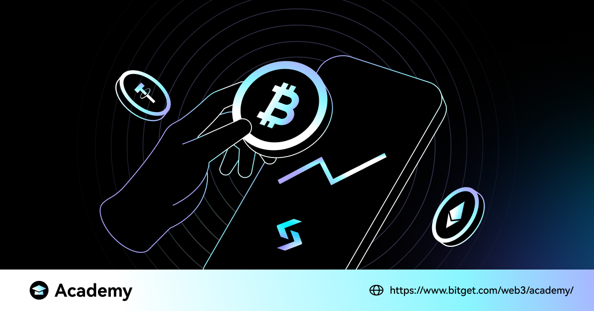 Best ERC‑20 Wallets in 2025: Safe Simple and Smart